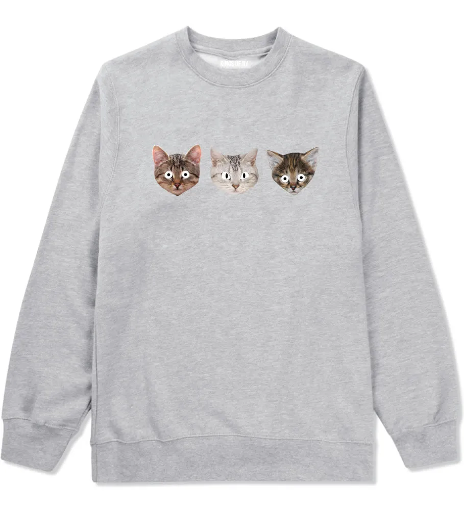 Cats Crazy Kittens Boys Kids Crewneck Sweatshirt