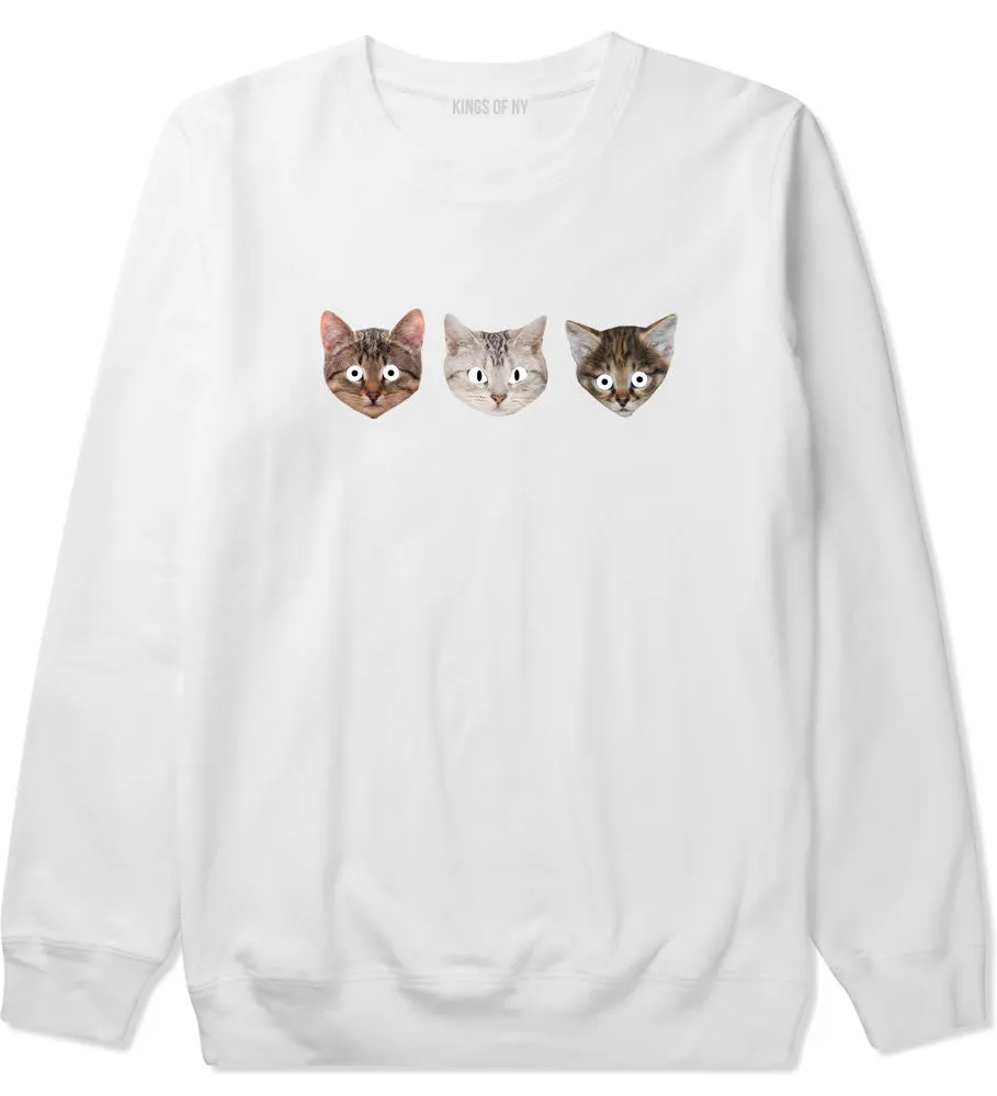 Cats Crazy Kittens Boys Kids Crewneck Sweatshirt