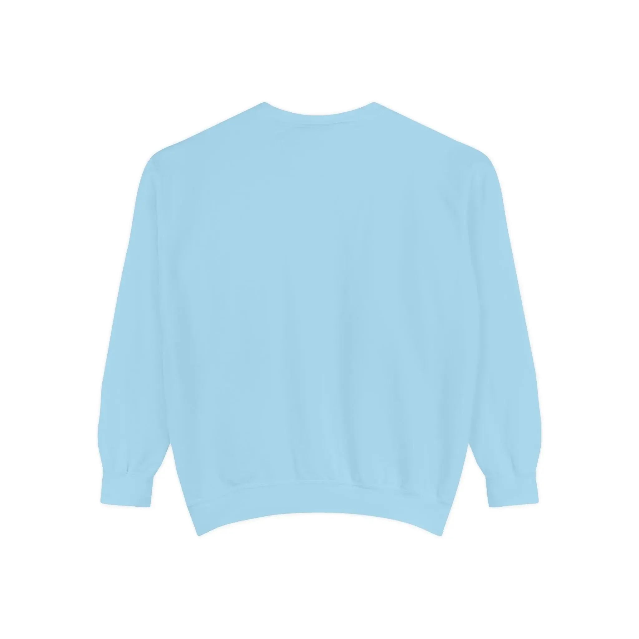 MENS DOLLAR Garment-Dyed Sweatshirt