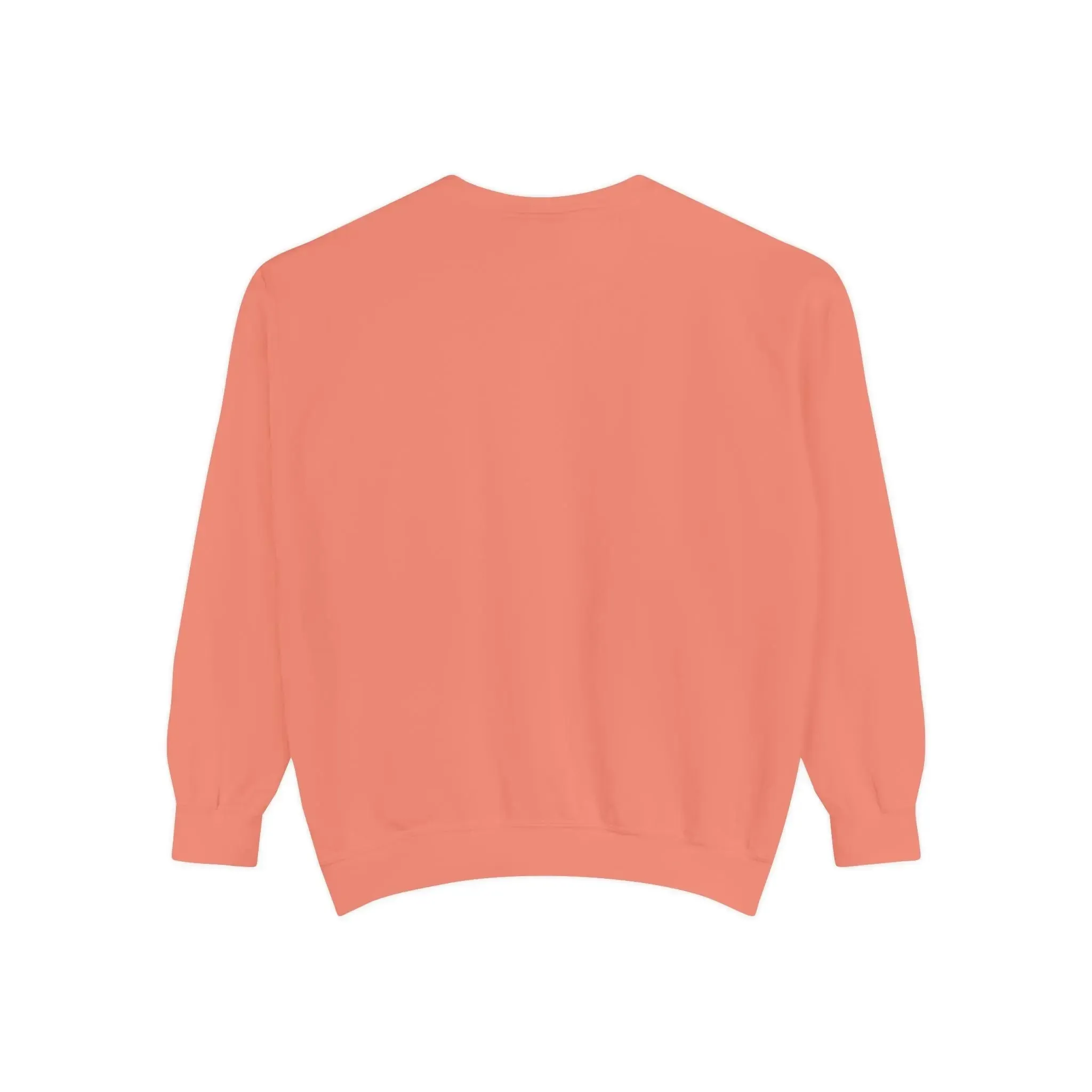 MENS DOLLAR Garment-Dyed Sweatshirt