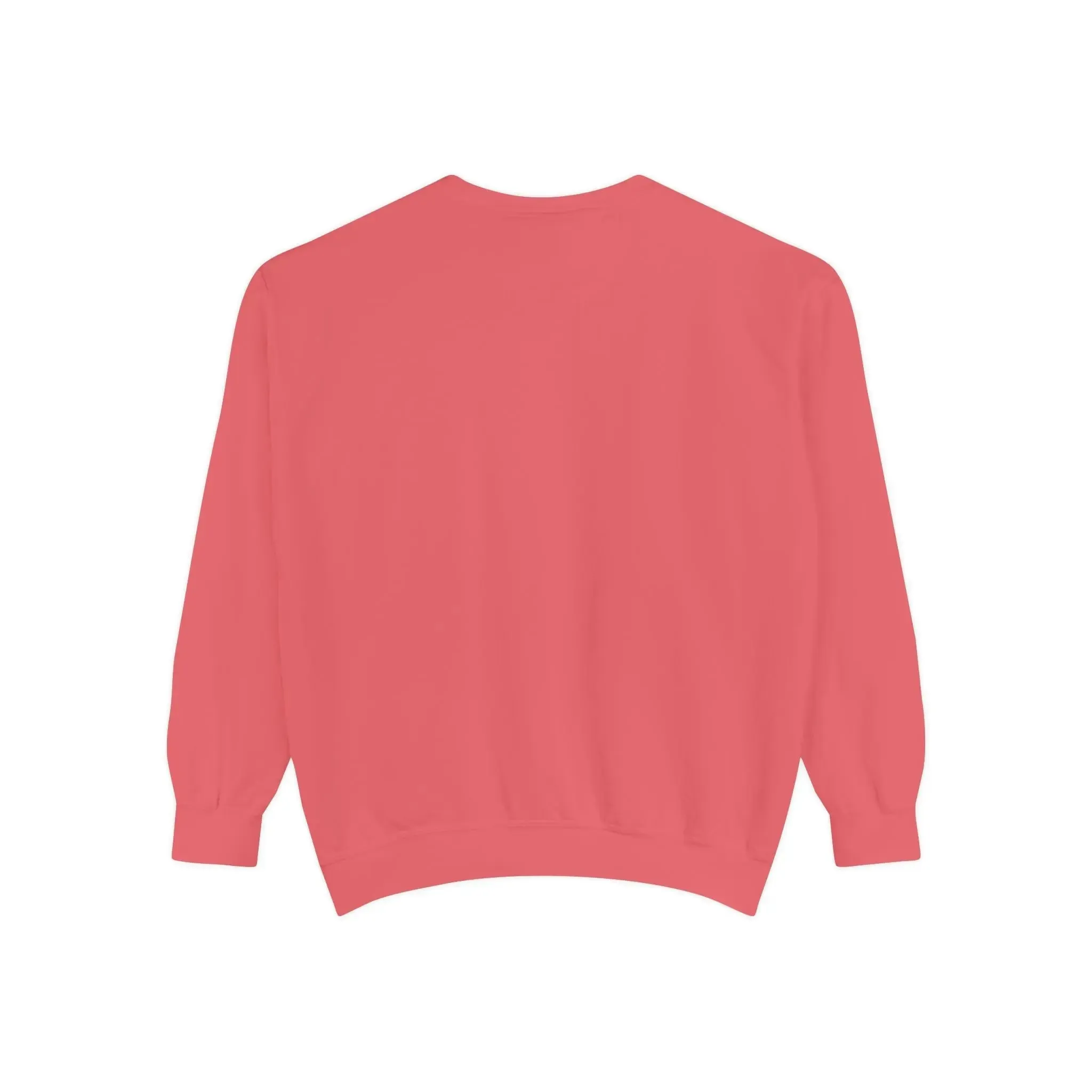 MENS DOLLAR Garment-Dyed Sweatshirt
