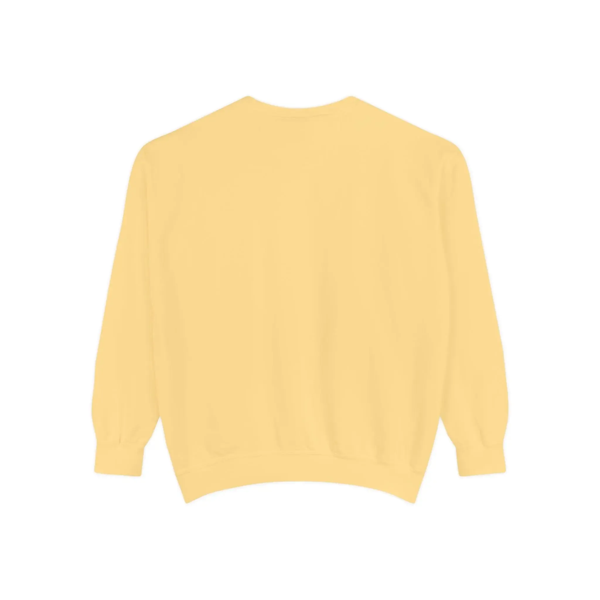 MENS DOLLAR Garment-Dyed Sweatshirt