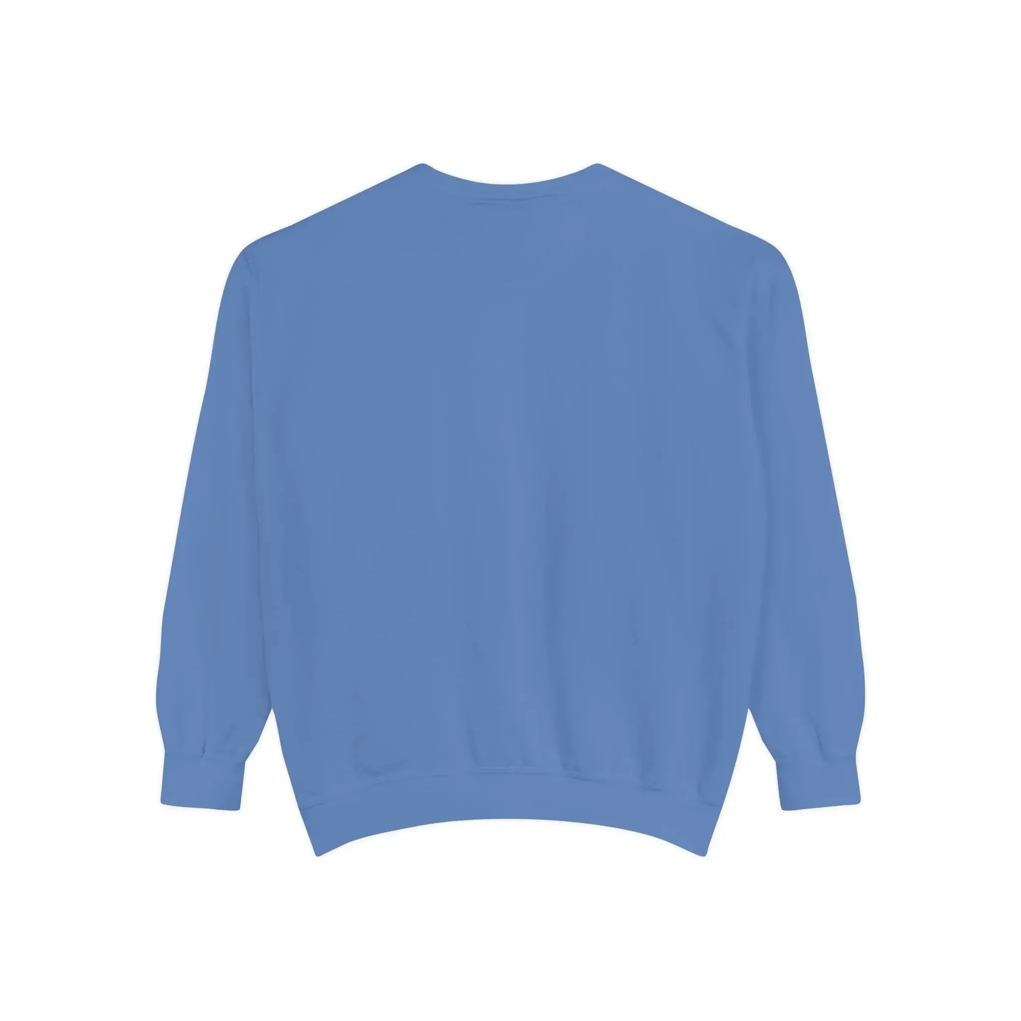 MENS DOLLAR Garment-Dyed Sweatshirt