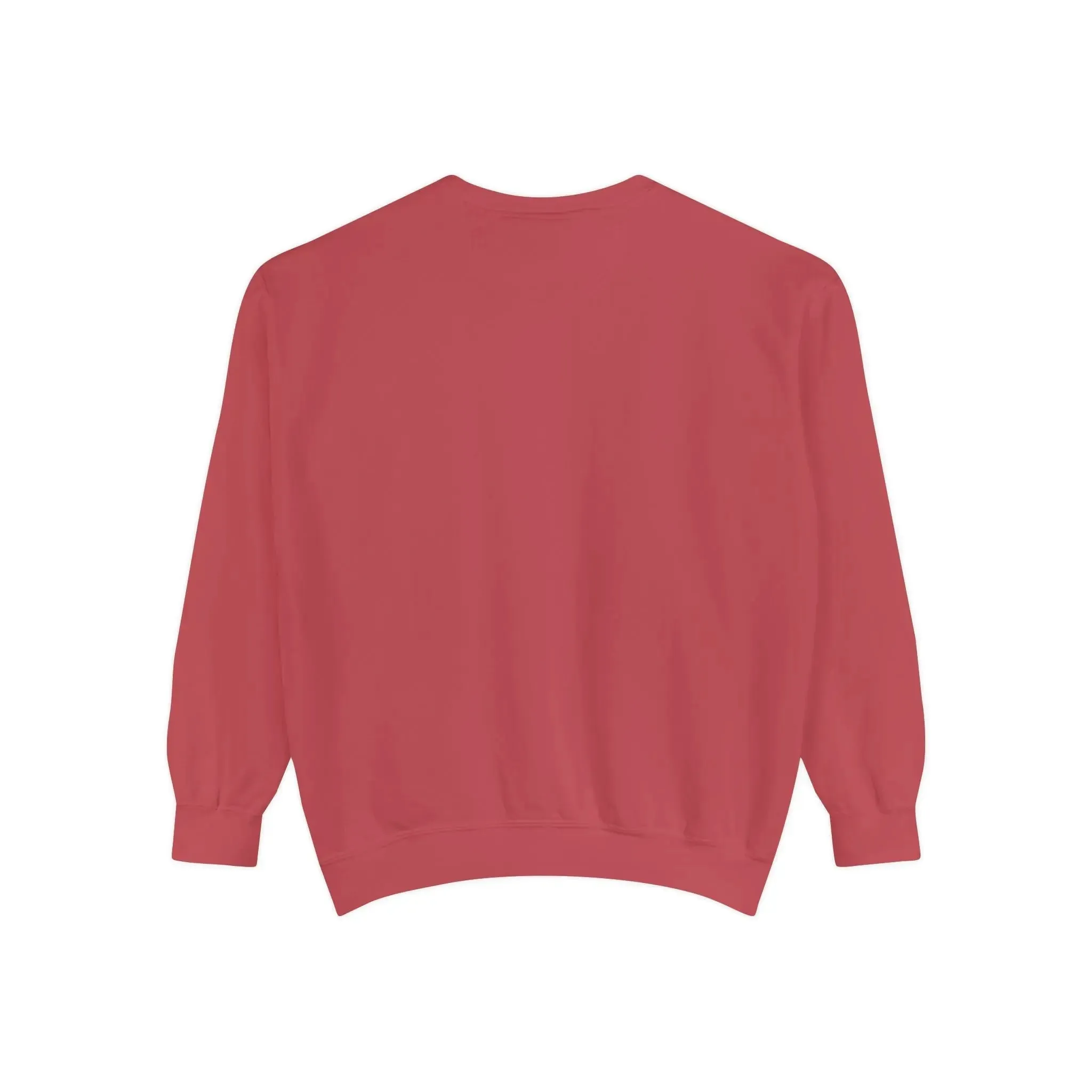 MENS DOLLAR Garment-Dyed Sweatshirt