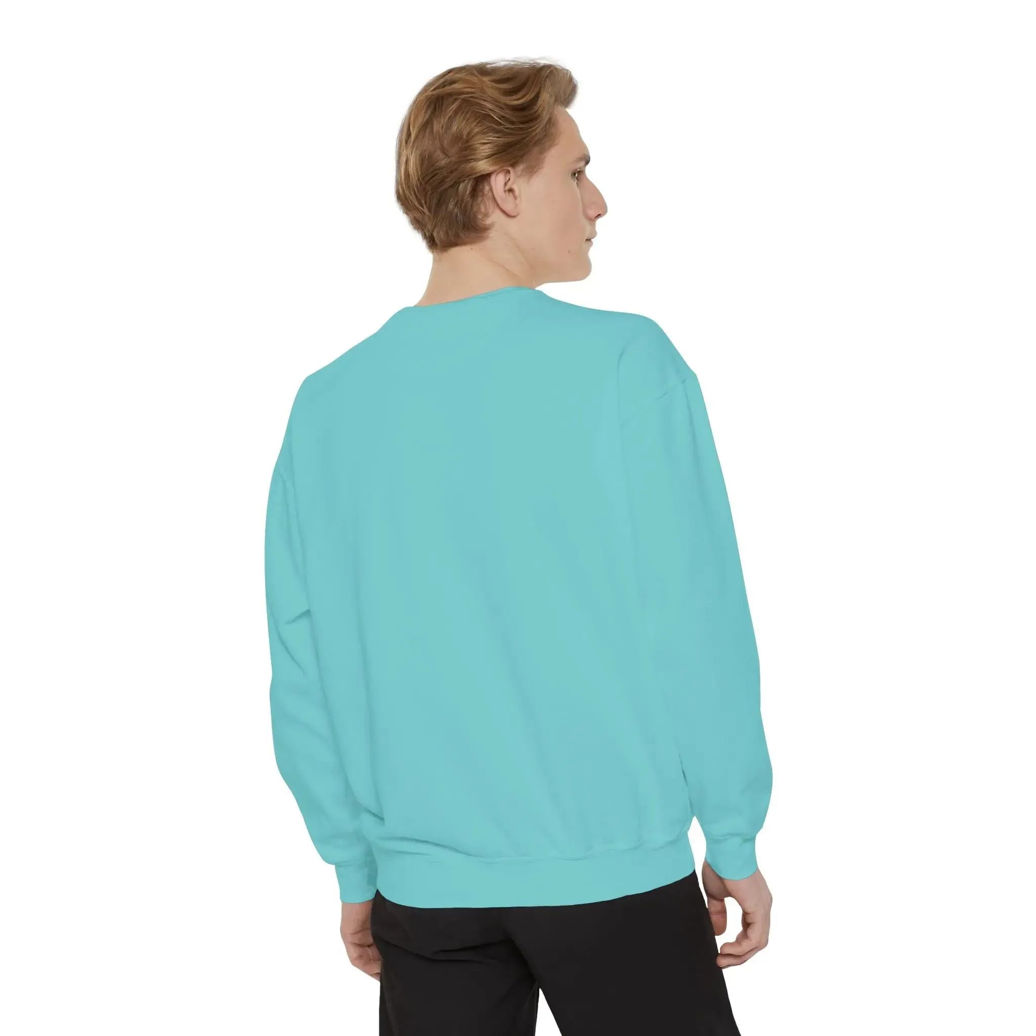 MENS DOLLAR Garment-Dyed Sweatshirt