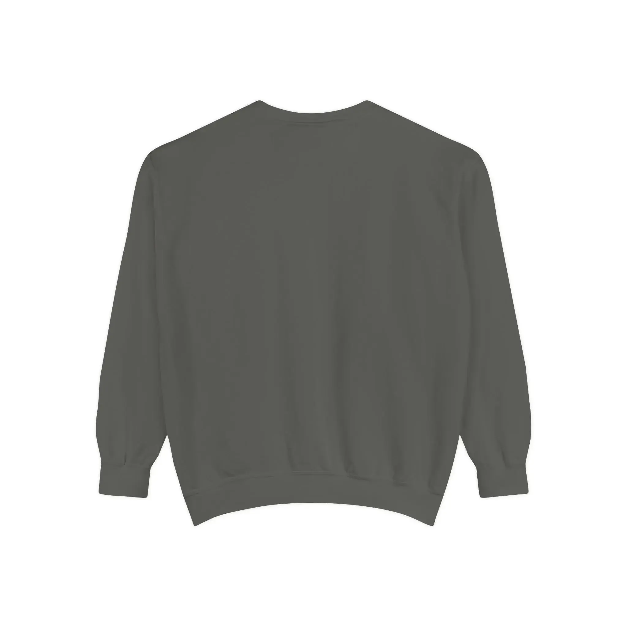 MENS DOLLAR Garment-Dyed Sweatshirt