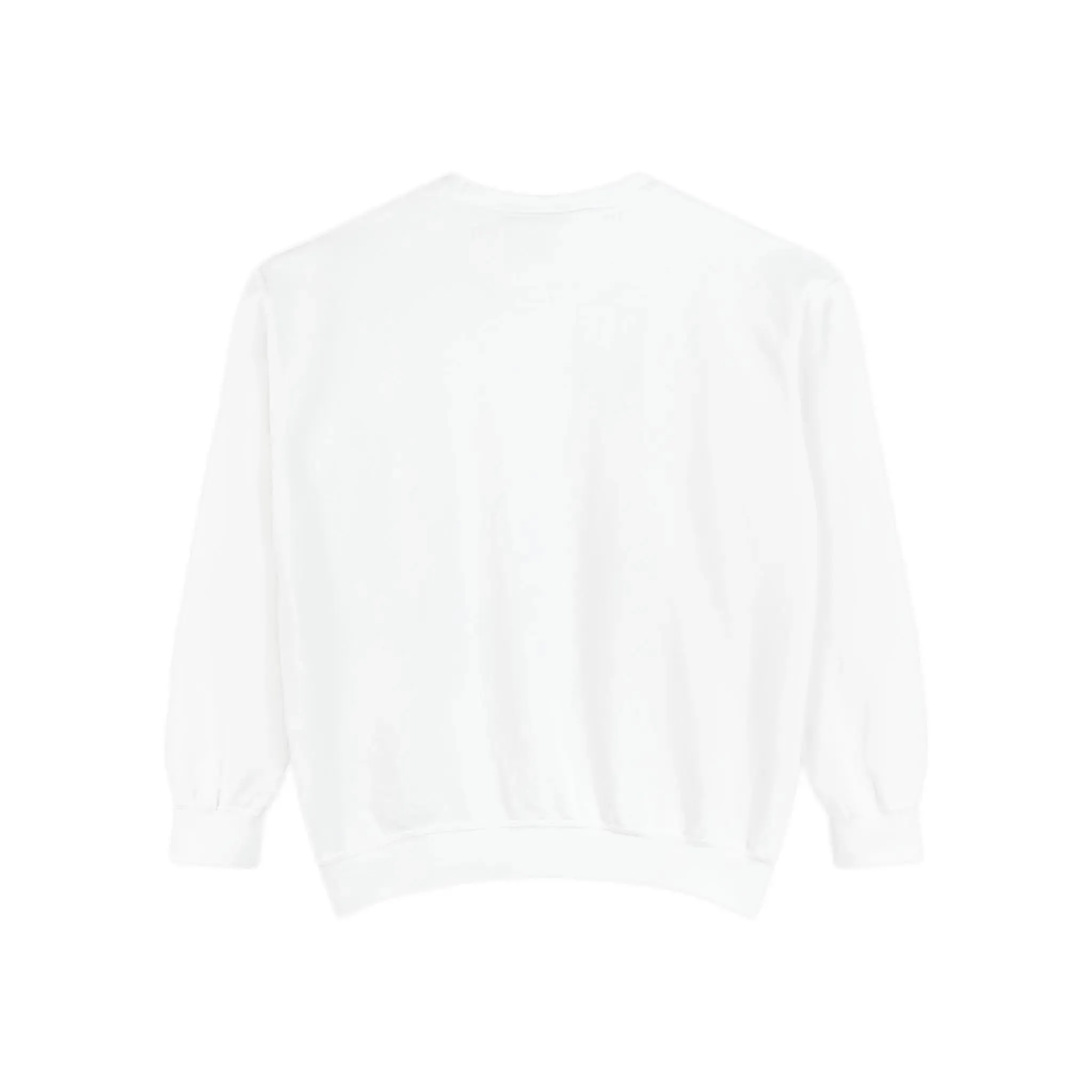 MENS DOLLAR Garment-Dyed Sweatshirt