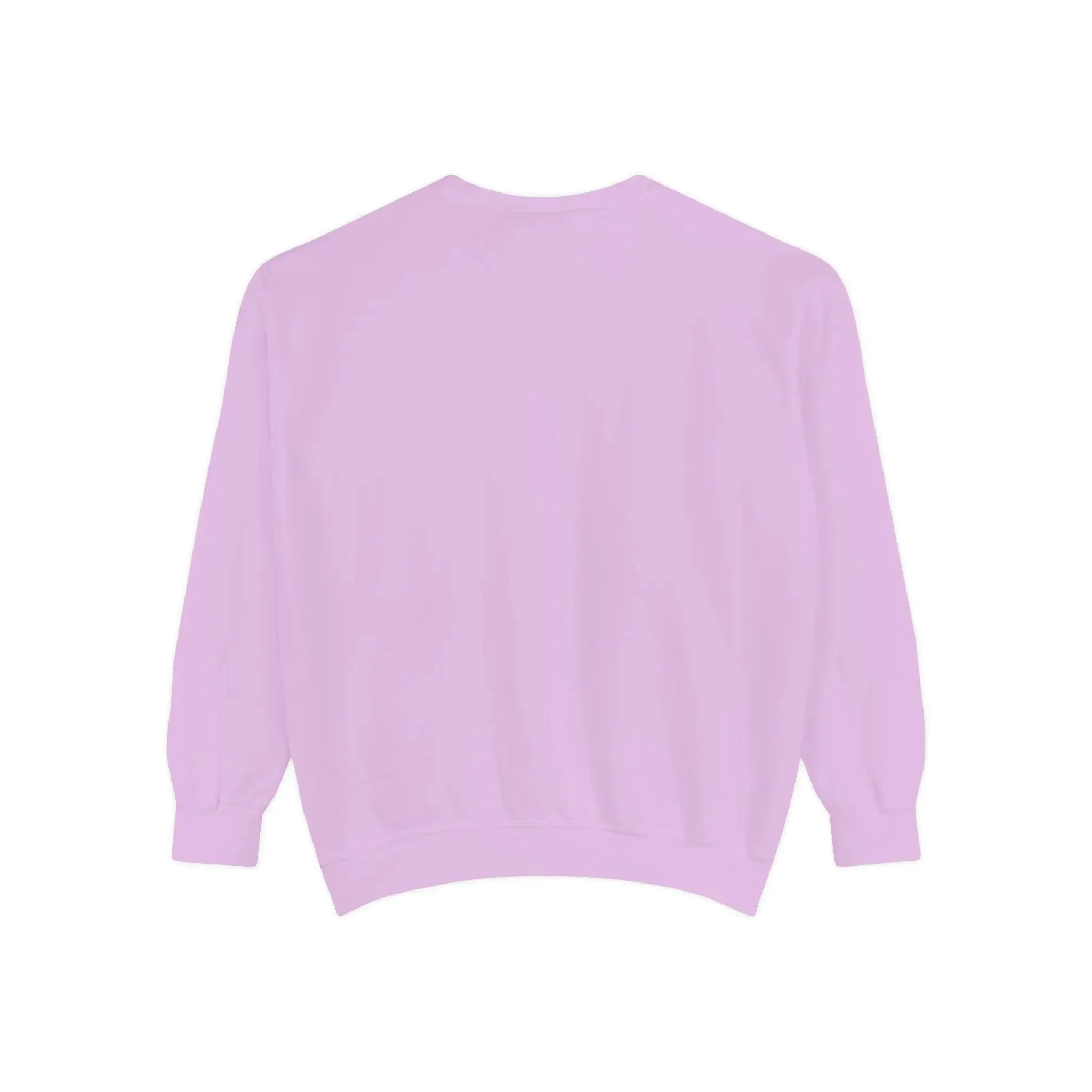 MENS DOLLAR Garment-Dyed Sweatshirt